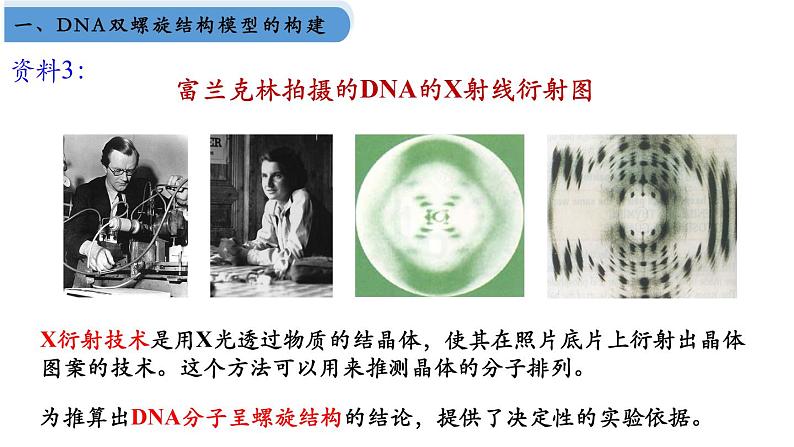 高中生物人教版2019必修2遗传与进化3-2DNA的结构 课件305