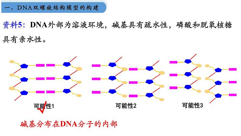 高中生物人教版2019必修2遗传与进化3-2DNA的结构 课件307