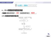 高中生物人教版2019必修2遺傳與進(jìn)化3-2DNA的結(jié)構(gòu) 課件2