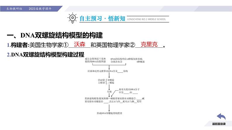 高中生物人教版2019必修2遗传与进化3-2DNA的结构精品课件2第4页