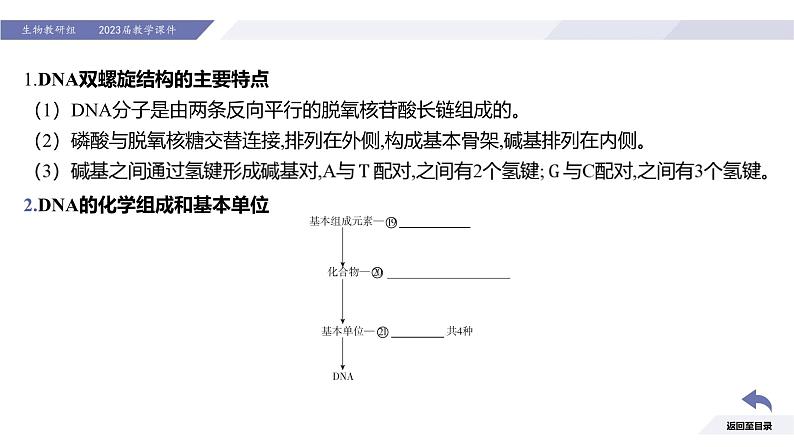 高中生物人教版2019必修2遗传与进化3-2DNA的结构精品课件2第6页