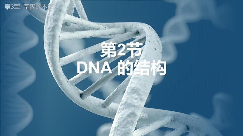 高中生物人教版2019必修2遗传与进化3-2DNA的结构 课件101