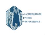 高中生物人教版2019必修2遺傳與進(jìn)化3-2DNA的結(jié)構(gòu) 課件1