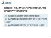 高中生物人教版2019必修2遺傳與進(jìn)化3-2DNA的結(jié)構(gòu) 課件1