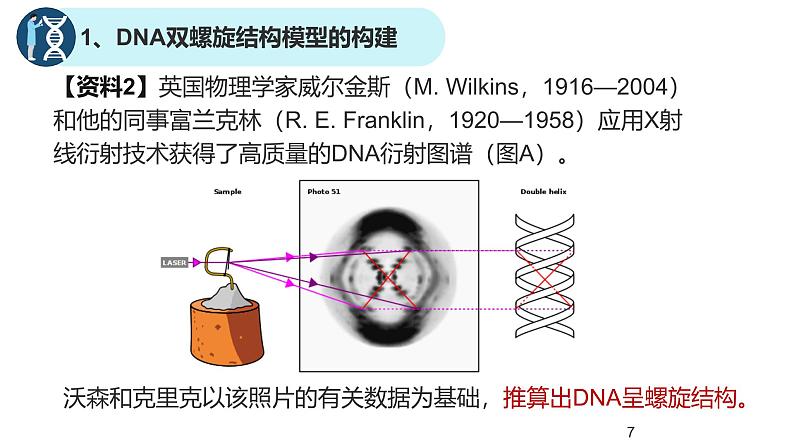 高中生物人教版2019必修2遗传与进化3-2DNA的结构 课件107