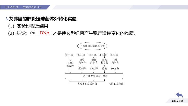 高中生物人教版2019必修2遗传与进化3-1DNA是主要的遗传物质 课件307