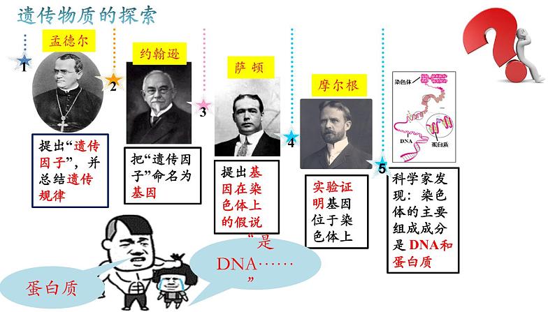 高中生物人教版2019必修2遗传与进化3-1DNA是主要的遗传物质 课件201