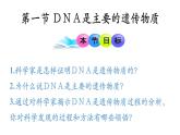 高中生物人教版2019必修2遺傳與進(jìn)化3-1DNA是主要的遺傳物質(zhì) 課件2
