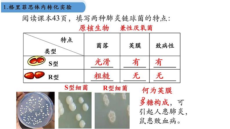 高中生物人教版2019必修2遗传与进化3-1DNA是主要的遗传物质 课件205