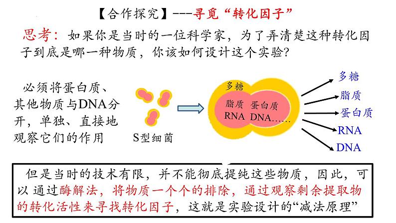 高中生物人教版2019必修2遗传与进化3-1DNA是主要的遗传物质 课件207