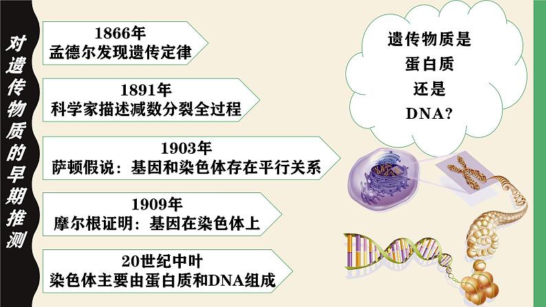 高中生物人教版2019必修2遗传与进化3-1DNA是主要的遗传物质 课件102