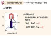 高中生物人教版2019必修2遗传与进化3-1DNA是主要的遗传物质（第二课时） 课件