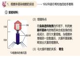 高中生物人教版2019必修2遗传与进化3-1DNA是主要的遗传物质（第二课时） 课件