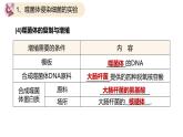 高中生物人教版2019必修2遗传与进化3-1DNA是主要的遗传物质（第二课时） 课件