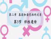 高中生物人教版2019必修2遺傳與進(jìn)化2-3伴性遺傳 課件2