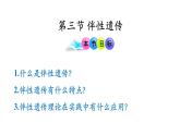 高中生物人教版2019必修2遺傳與進(jìn)化2-3伴性遺傳 課件2