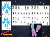 高中生物人教版2019必修2遺傳與進(jìn)化2-3伴性遺傳 課件1