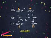 高中生物人教版2019必修2遺傳與進(jìn)化2-3伴性遺傳 課件1