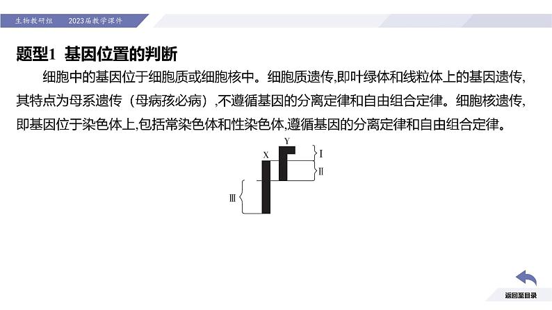 高中生物人教版2019必修2遗传与进化2-3伴性遗传（第2课时强化课） 课件03