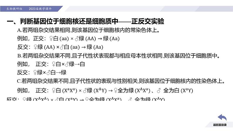 高中生物人教版2019必修2遗传与进化2-3伴性遗传（第2课时强化课） 课件05