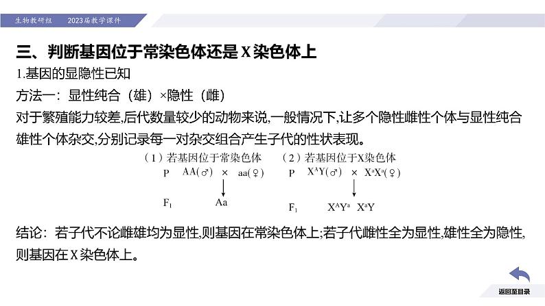 高中生物人教版2019必修2遗传与进化2-3伴性遗传（第2课时强化课） 课件07