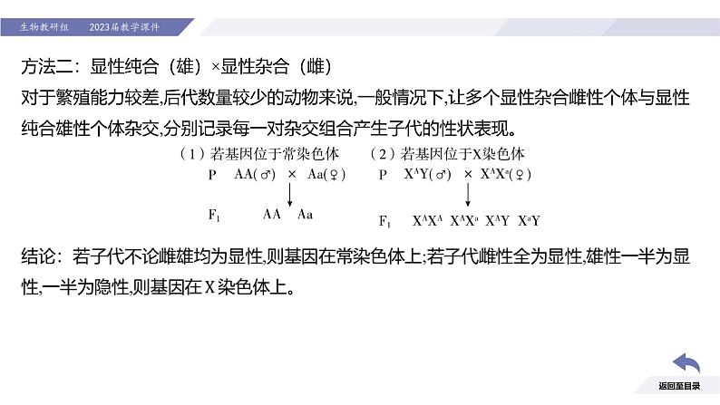 高中生物人教版2019必修2遗传与进化2-3伴性遗传（第2课时强化课） 课件08