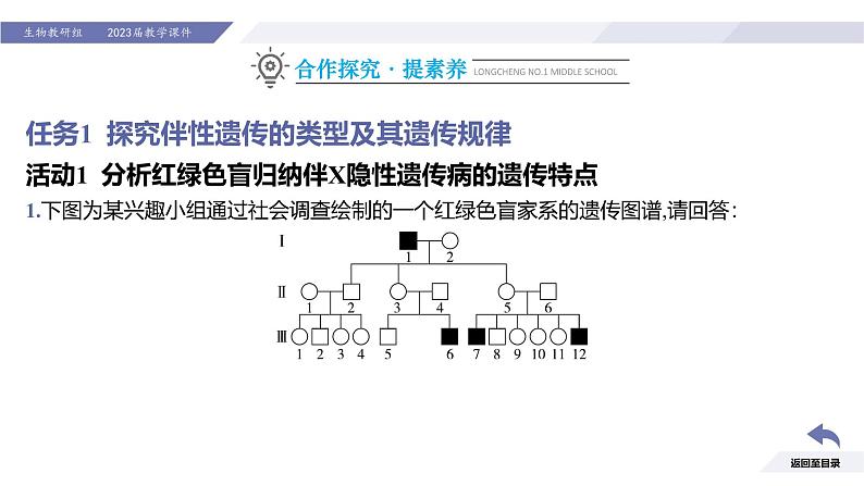 高中生物人教版2019必修2遗传与进化2-3伴性遗传（第1课时）精品课件第8页