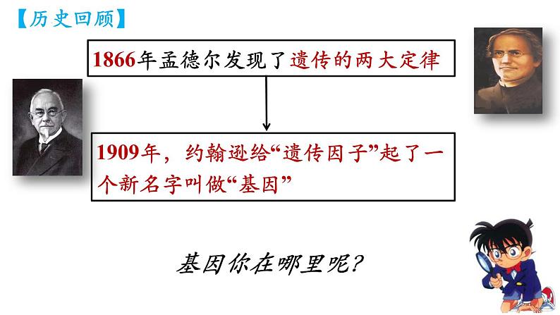 高中生物人教版2019必修2遗传与进化2-2基因在染色体上 课件401