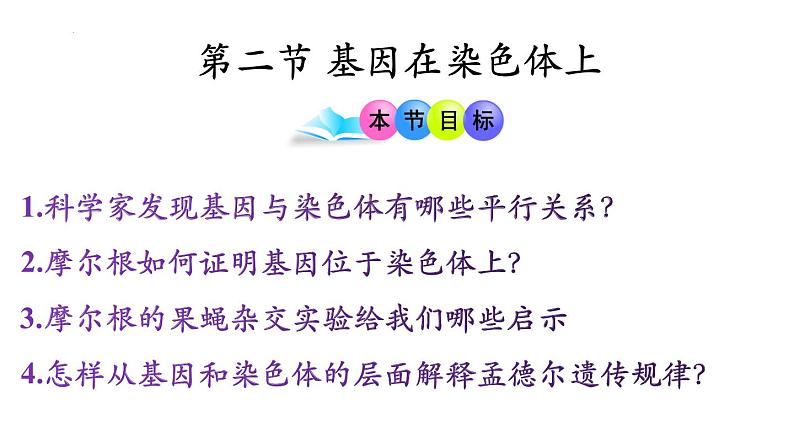 高中生物人教版2019必修2遗传与进化2-2基因在染色体上 课件403