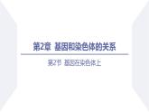高中生物人教版2019必修2遺傳與進(jìn)化2-2基因在染色體上 課件3
