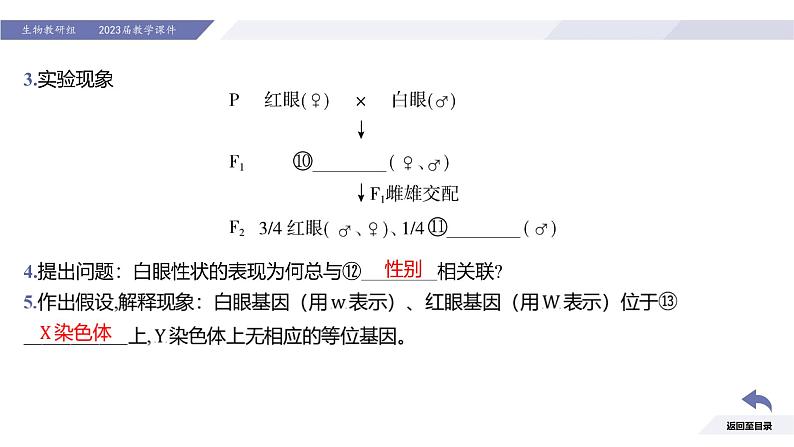 高中生物人教版2019必修2遗传与进化2-2基因在染色体上 课件305