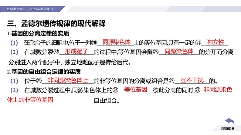 高中生物人教版2019必修2遗传与进化2-2基因在染色体上 课件307