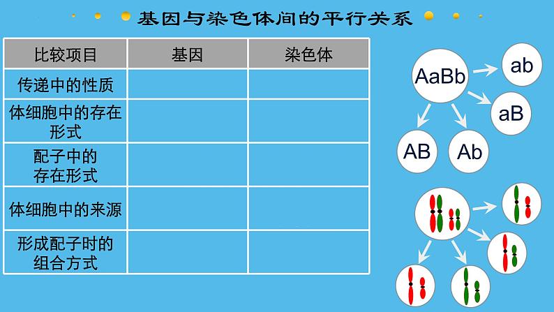 高中生物人教版2019必修2遗传与进化2-2基因在染色体上 课件205