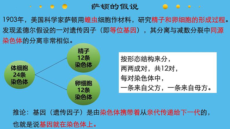 高中生物人教版2019必修2遗传与进化2-2基因在染色体上 课件206