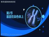 高中生物人教版2019必修2遺傳與進(jìn)化2-2基因在染色體上 課件1