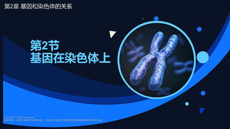 高中生物人教版2019必修2遗传与进化2-2基因在染色体上 课件101