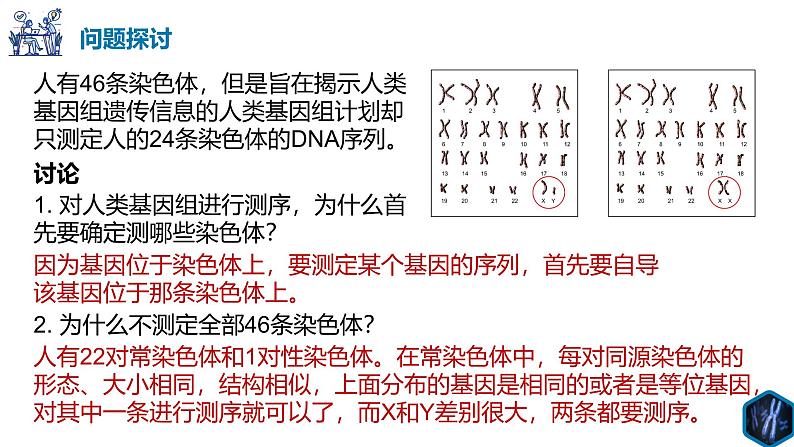 高中生物人教版2019必修2遗传与进化2-2基因在染色体上 课件102