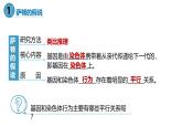 高中生物人教版2019必修2遺傳與進(jìn)化2-2基因在染色體上 課件1