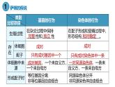 高中生物人教版2019必修2遺傳與進(jìn)化2-2基因在染色體上 課件1