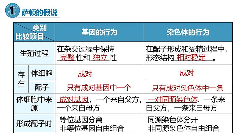 高中生物人教版2019必修2遗传与进化2-2基因在染色体上 课件105