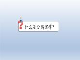 高中生物人教版2019必修2遗传与进化1-2孟德尔的豌豆杂交实验（二） 课件1
