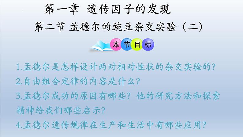 高中生物人教版2019必修2遗传与进化1-2孟德尔的豌豆杂交实验（二） 课件104