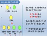 高中生物人教版2019必修2遗传与进化1-2孟德尔的豌豆杂交实验（二） 课件1