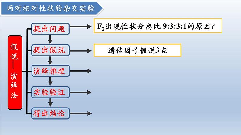 高中生物人教版2019必修2遗传与进化1-2孟德尔的豌豆杂交实验（二） 课件108