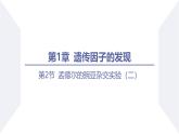 高中生物人教版2019必修2遗传与进化1-2孟德尔的豌豆杂交实验（二）（强化课基因自由组合定律应用及题型分析） 课件