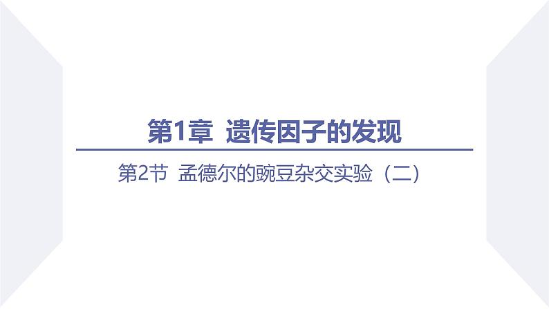 高中生物人教版2019必修2遗传与进化1-2孟德尔的豌豆杂交实验（二）（强化课基因自由组合定律应用及题型分析）精品课件第1页
