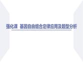 高中生物人教版2019必修2遗传与进化1-2孟德尔的豌豆杂交实验（二）（强化课基因自由组合定律应用及题型分析） 课件