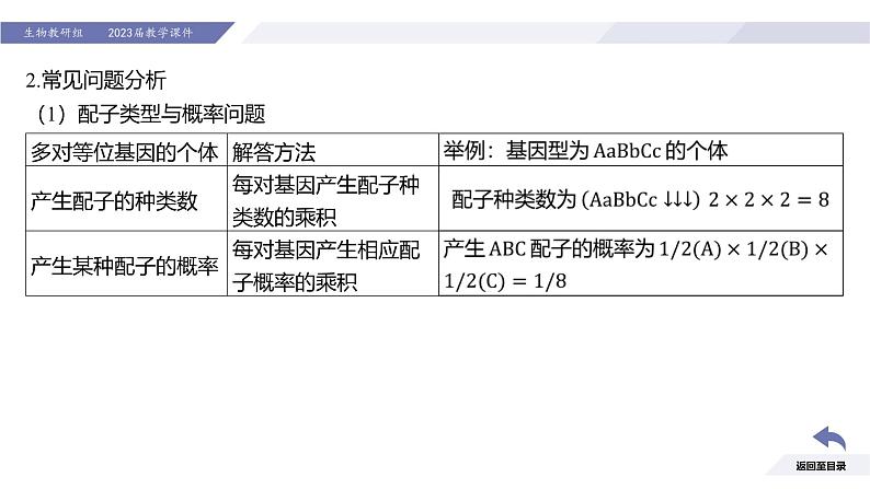 高中生物人教版2019必修2遗传与进化1-2孟德尔的豌豆杂交实验（二）（强化课基因自由组合定律应用及题型分析）精品课件第4页