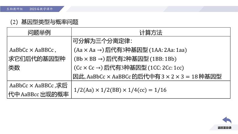 高中生物人教版2019必修2遗传与进化1-2孟德尔的豌豆杂交实验（二）（强化课基因自由组合定律应用及题型分析）精品课件第5页