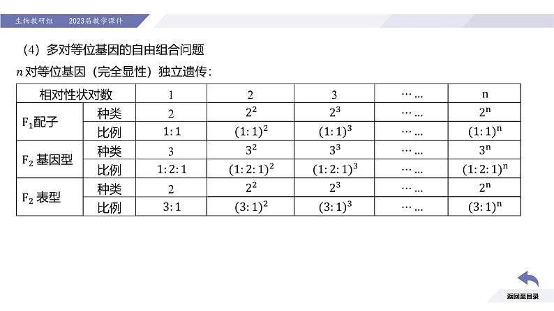 高中生物人教版2019必修2遗传与进化1-2孟德尔的豌豆杂交实验（二）（强化课基因自由组合定律应用及题型分析）精品课件第7页
